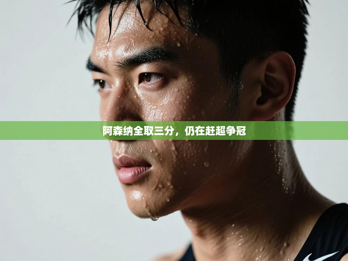 阿森纳全取三分，仍在赶超争冠  第1张