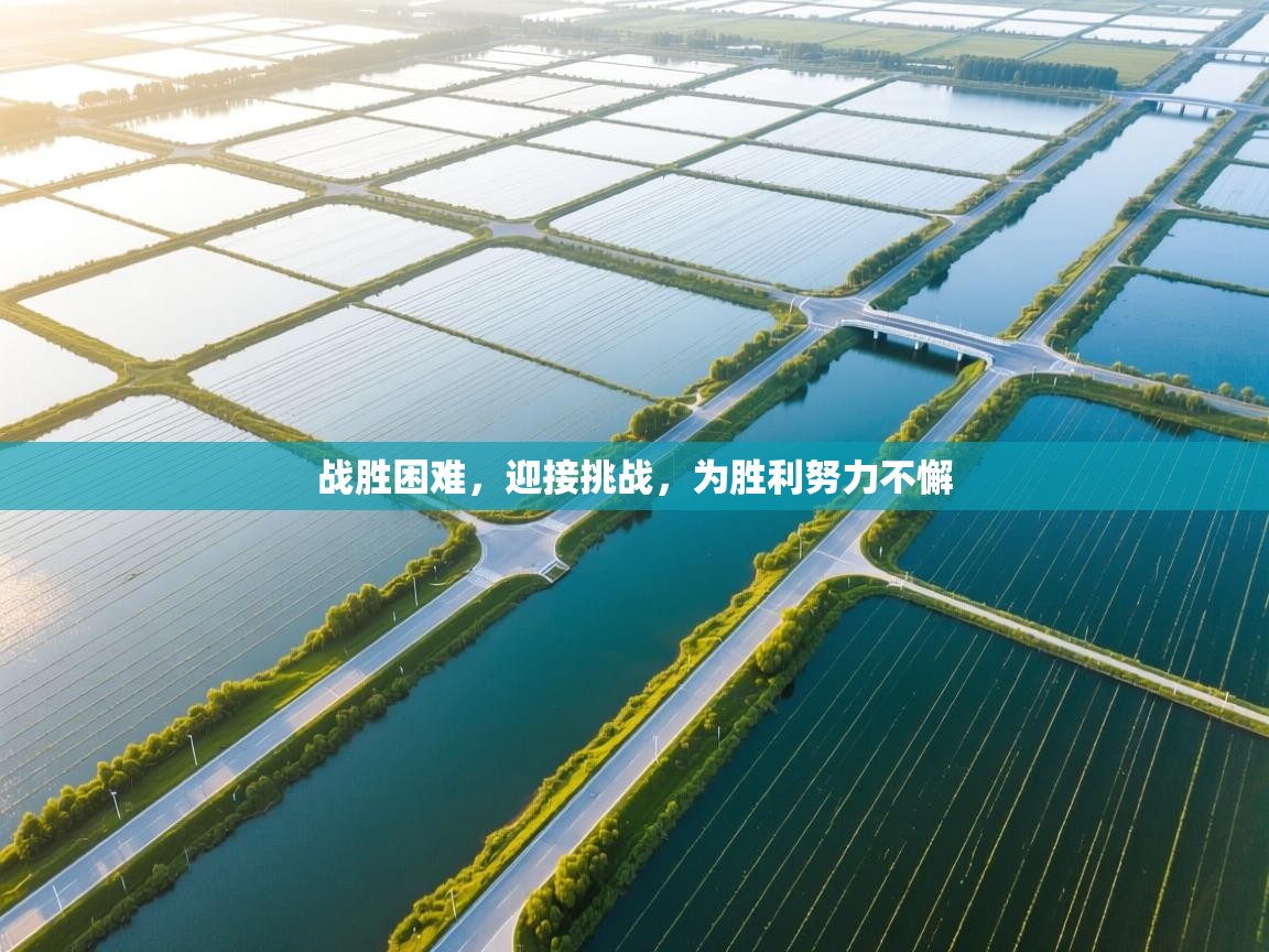 战胜困难，迎接挑战，为胜利努力不懈